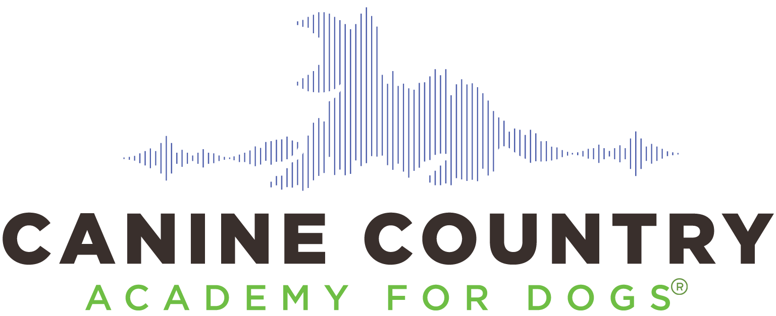 Canine Country Academy