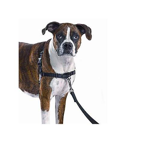 gentle harness for dogs